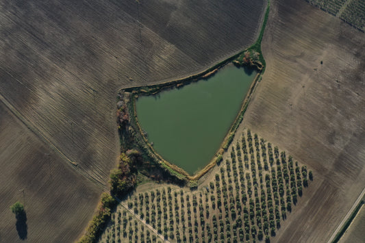 Irrigation on the Olive Groves