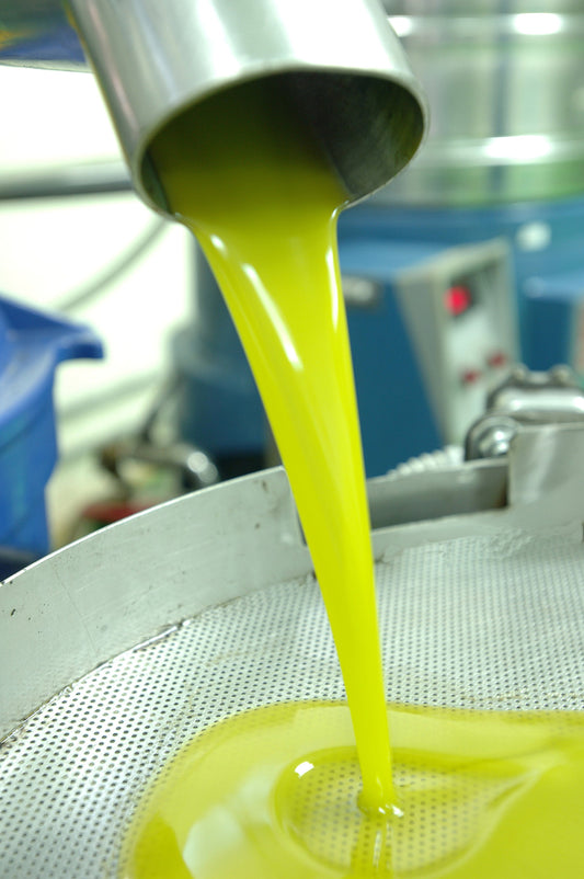 The Oil Merchant's Guide to Choosing an Olive Oil