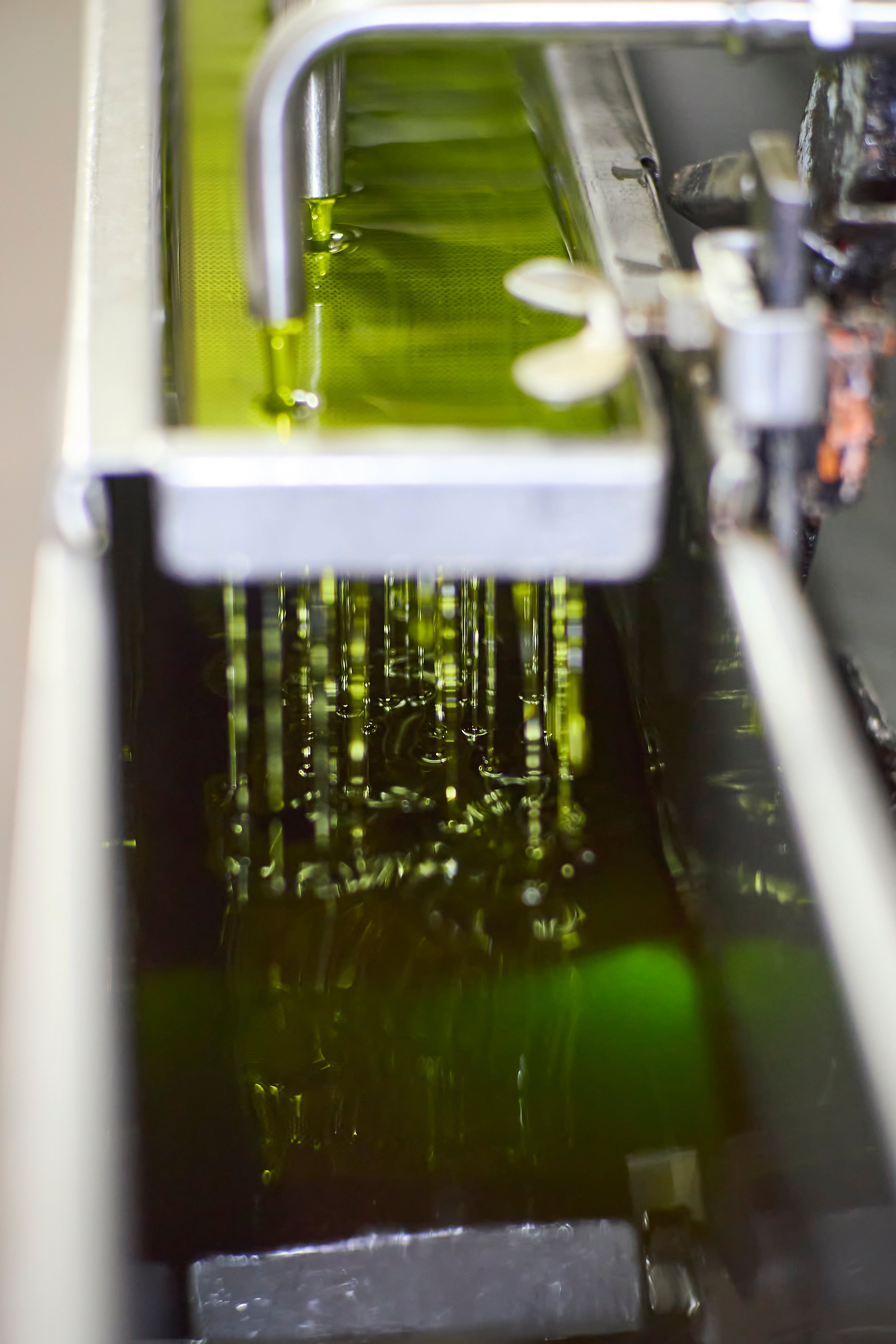 Extra Virgin Olive Oil