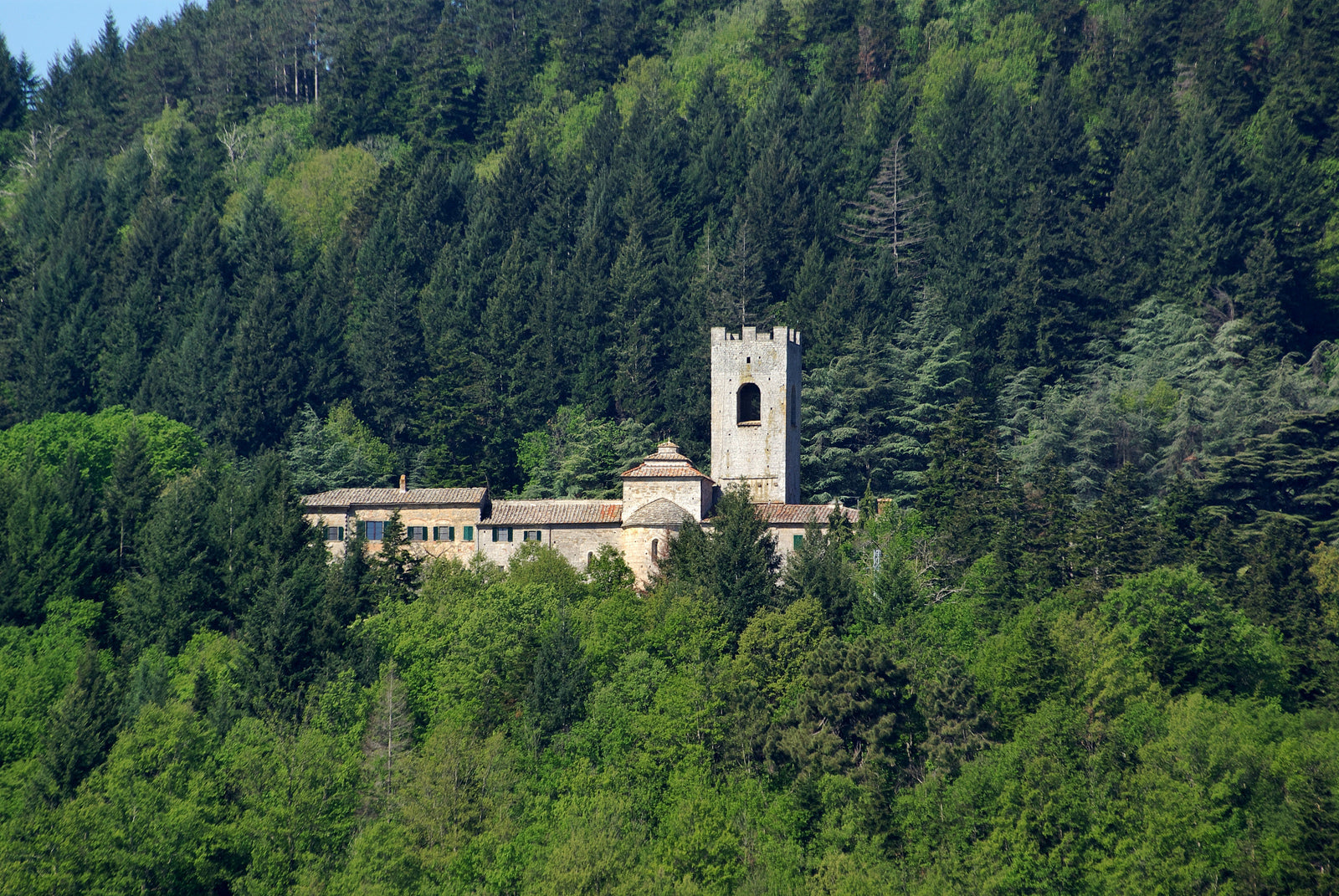 Badia a Coltibuono