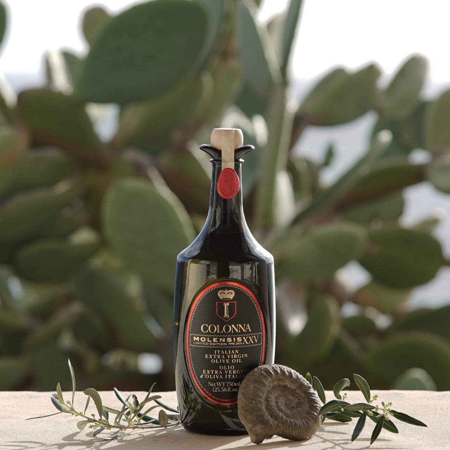 Colonna Molensis Extra Virgin Olive Oil